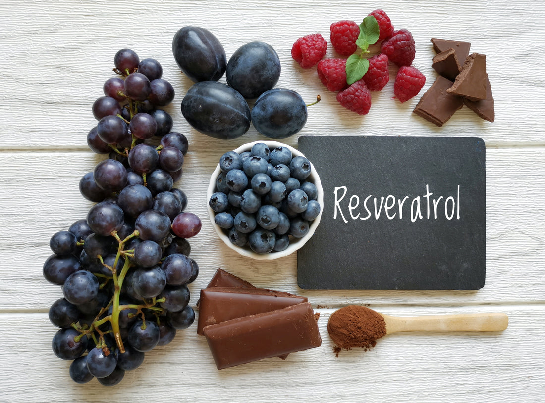 Tout savoir sur le resvératrol