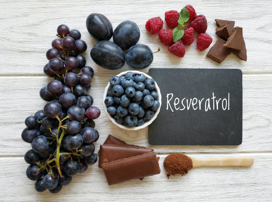 Tout savoir sur le resvératrol