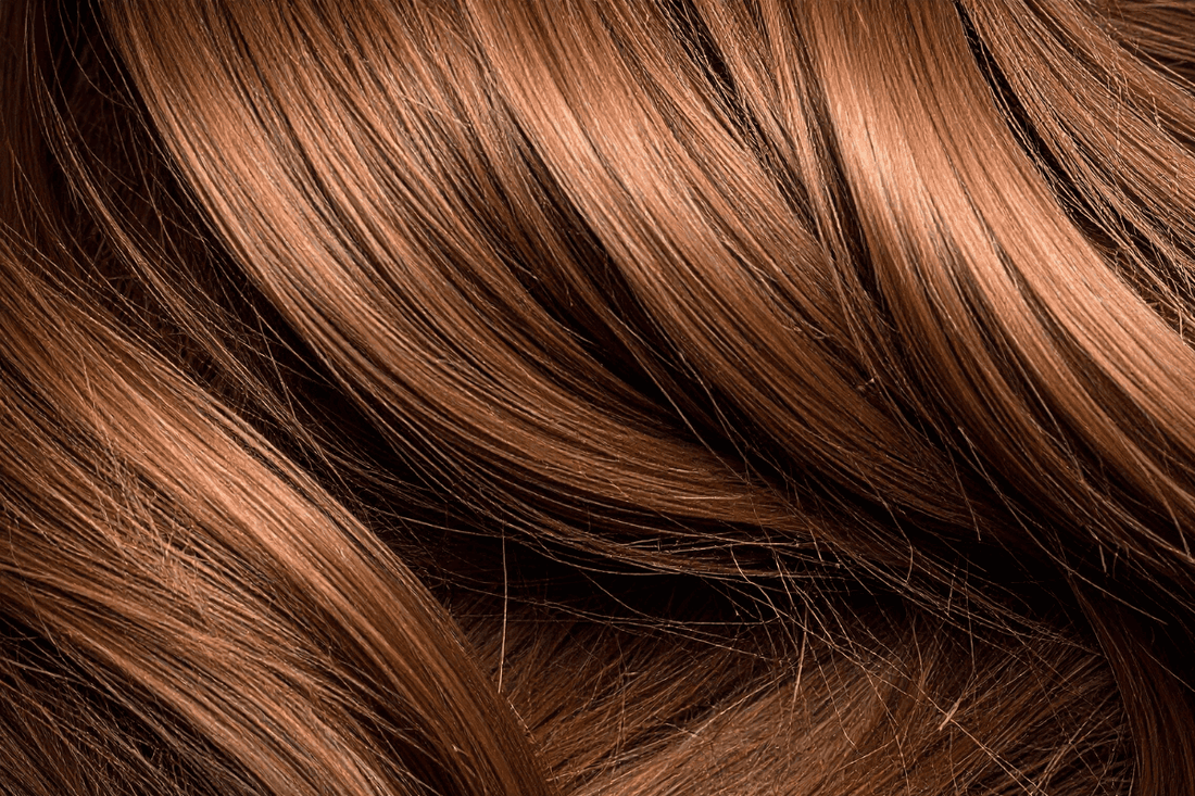 Perturbations du cycle de vie du cheveux : les causes fréquentes